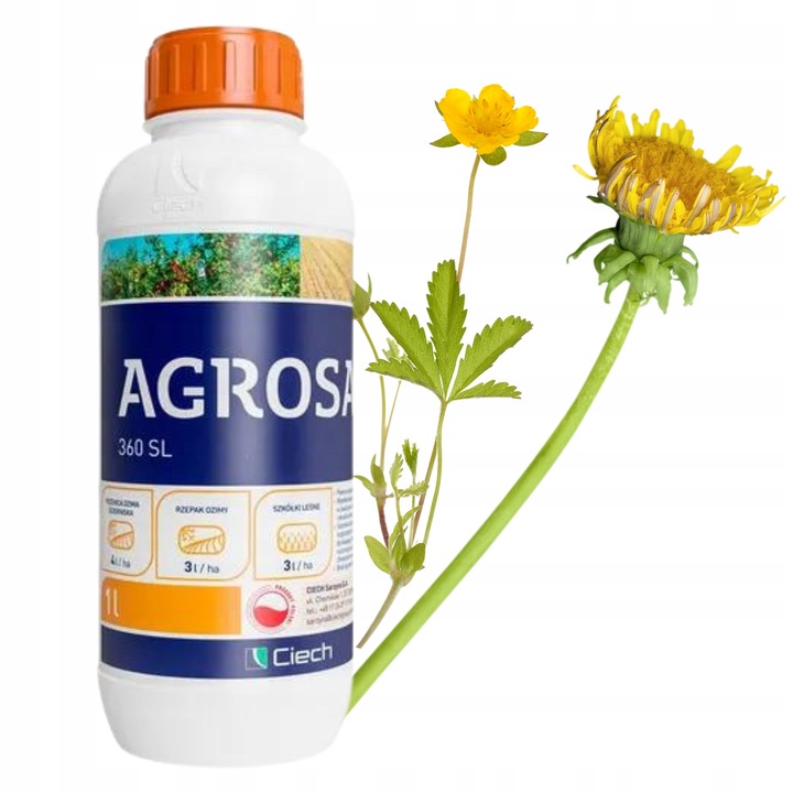 AGROSAR 360SL ŚRODEK CHWASTOBÓJCZY NA CHWASTY perz wiechliny mlecz 1l Ciech
