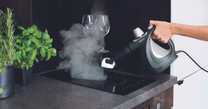 PAROWNICA na PLUSKWY Myjka Parowa Czyścik Okien Ciśnieniowy 1000W 3Bar