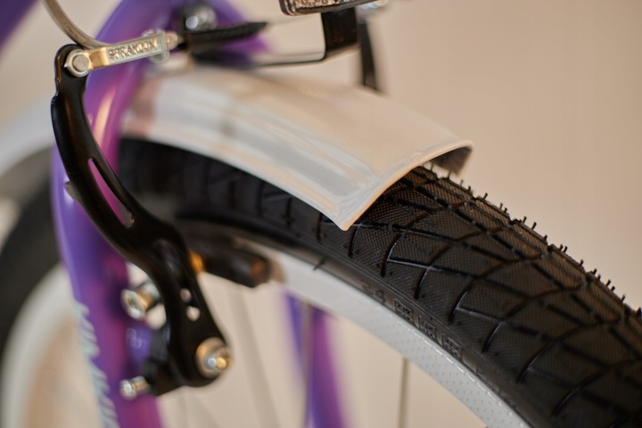 Rower dziecięcy 20 cali dla dziewczynki koszyk bagażnik frędzle 5-9 lat fio