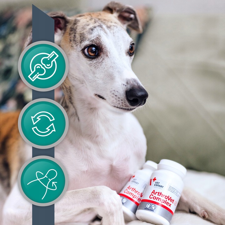 Vet Expert ARTHROVET - zestaw wspomagający prawidłowe funkcjonowanie stawów