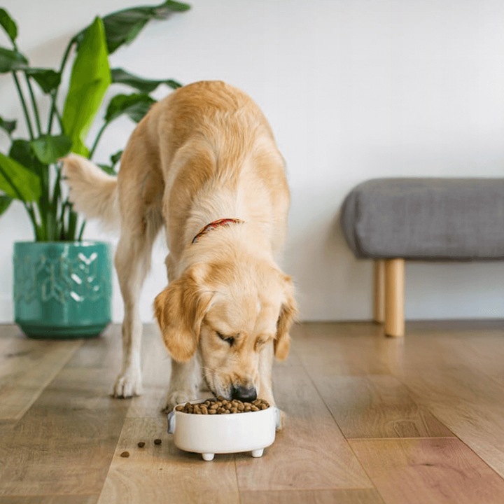 JAMES WELLBELOVED Bezzbożowa Monobiałkowa Sucha Karma Dla Psa Indyk 1,5kg