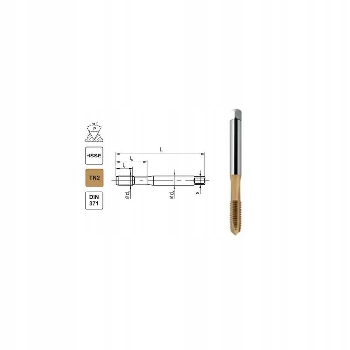Gwintownik maszynowy M10 DIN-371C R40 (6H) HSSE TIN 800X FANAR (C2-513X01-0