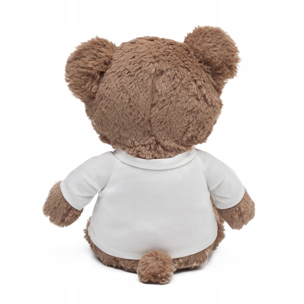 Maskotka duży miś Big Teddy, brązowy R74004.10