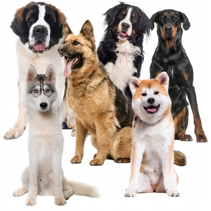 Mata Chłodząca dla Psa Kota Zwierząt Żelowa Składana XXL Legowisko 110x70cm