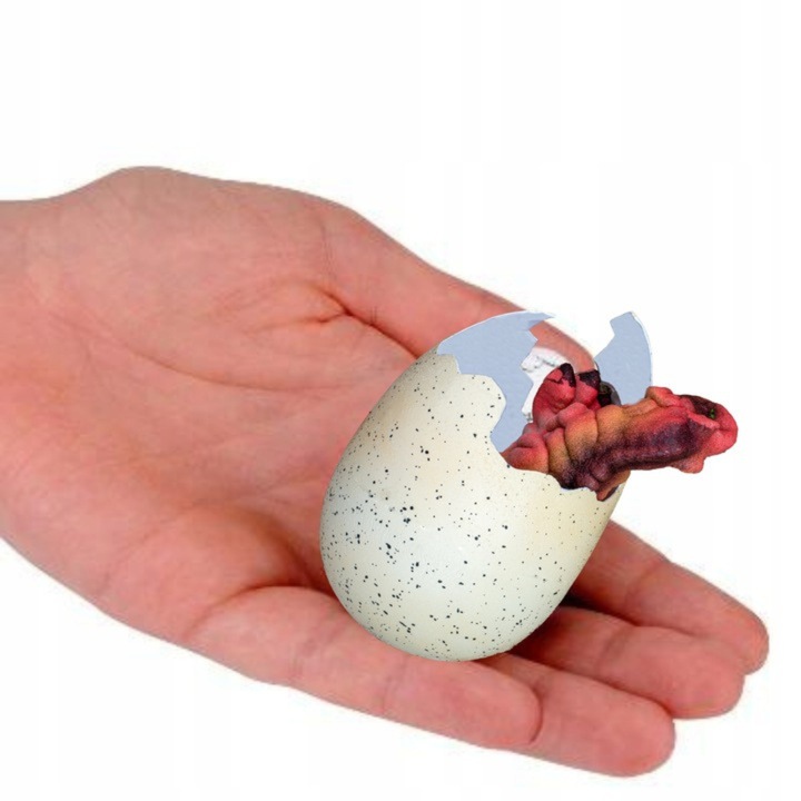 5x JAJO jajko dinozaura wykluwający rosnący DINOZAUR DUŻE NA PREZENT