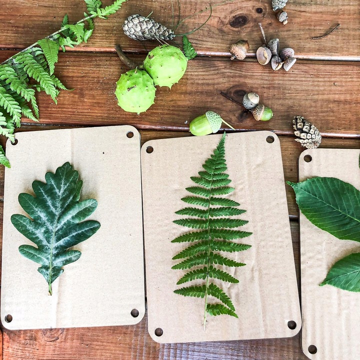 Zielnik Praska botaniczna do suszenia kwiatów ziół liści i roślin 21x15