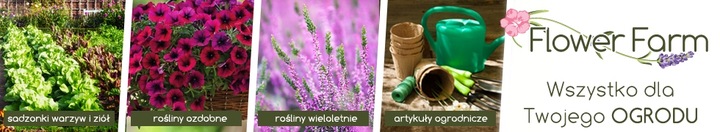 Karate ZEON 050 CS Sumin środek owadobójczy 50ml