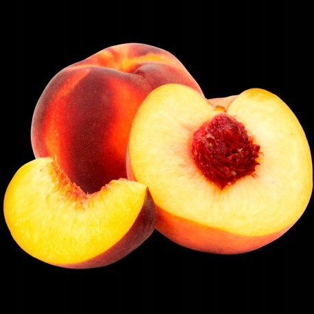 YODEYMA Paris_ADRIANA Eau de Parfum 50ml EDP