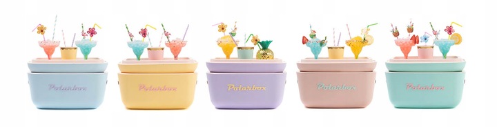 Przenośna lodówka Polarbox 12L MORSKI