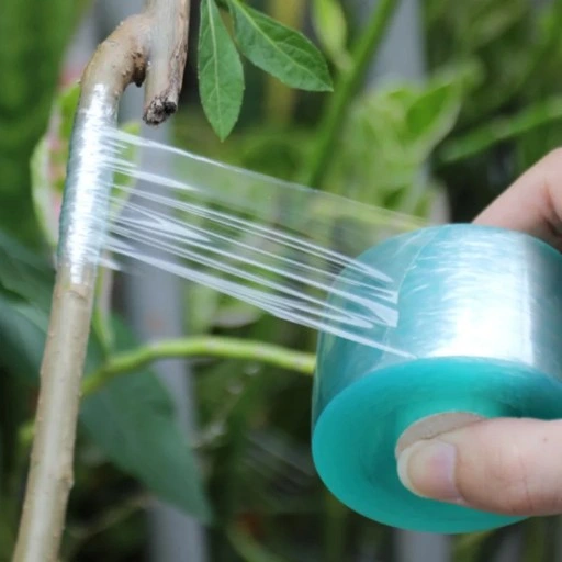 SEKATOR DO SZCZEPIENIA DRZEW I KRZEWÓW ETUI 3 MATRYCE x2 TAŚMA DO SZCZEPIEŃ