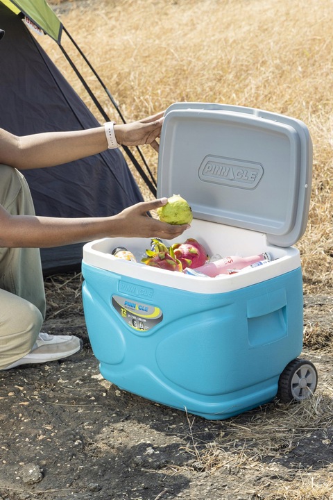 Lodówka Turystyczna na kółkach na wkłady mrożące 30L PINNACLE Prudence