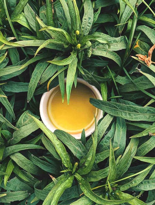 Sencha BIO zielona herbata japońska liściasta ekologiczna | Premium 250g