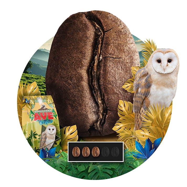 Kawa ziarnista 1kg Brazylia BRAZILLIA AVE Świeżo Palona - Blue Orca Coffee