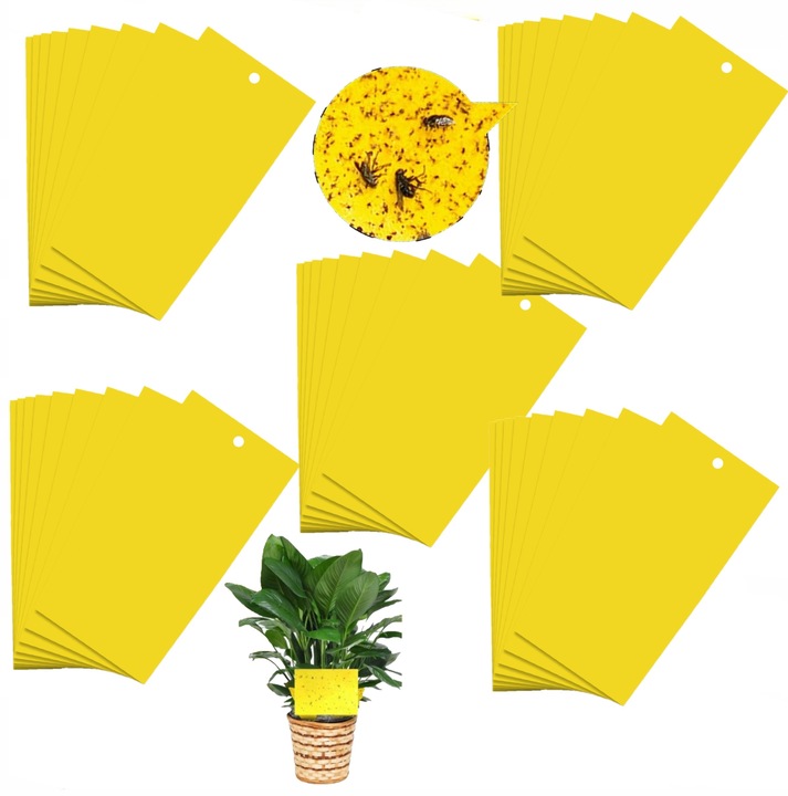 ŻÓŁTE LEPY DO DONICZEK ziemiórki OWADY skuteczne