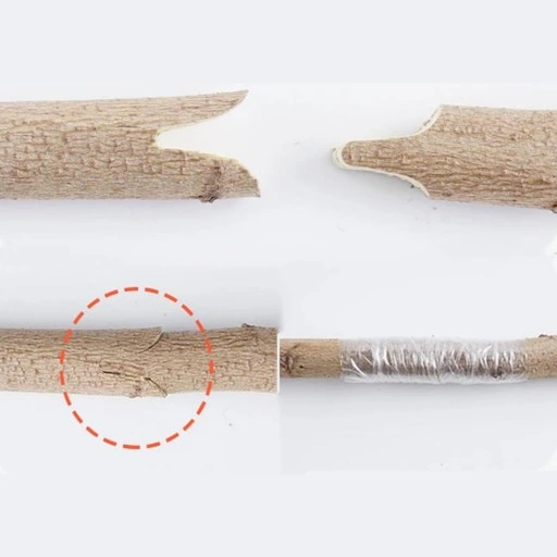 SEKATOR NOŻYCE DO SZCZEPIENIA DRZEW ROŚLIN KRZEWÓW WINOGRON ETUI + TAŚMA