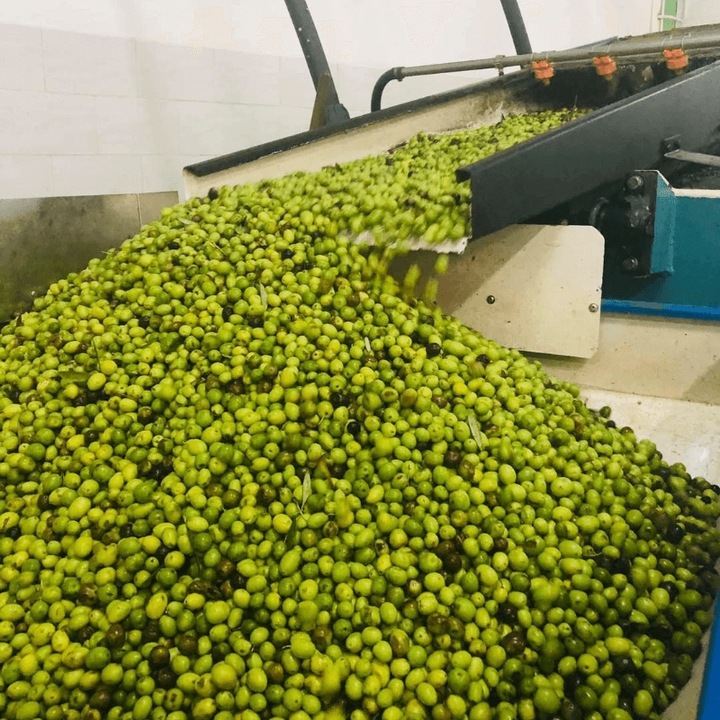 Włoska BIO Oliwa z Oliwek Extra Virgin 100% 3L ŚWIEŻY ZBIÓR