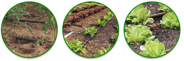 LINIA KROPLUJĄCA z kompensacją NAWADNIANIE 50m + 56 elementów Wąż pocący