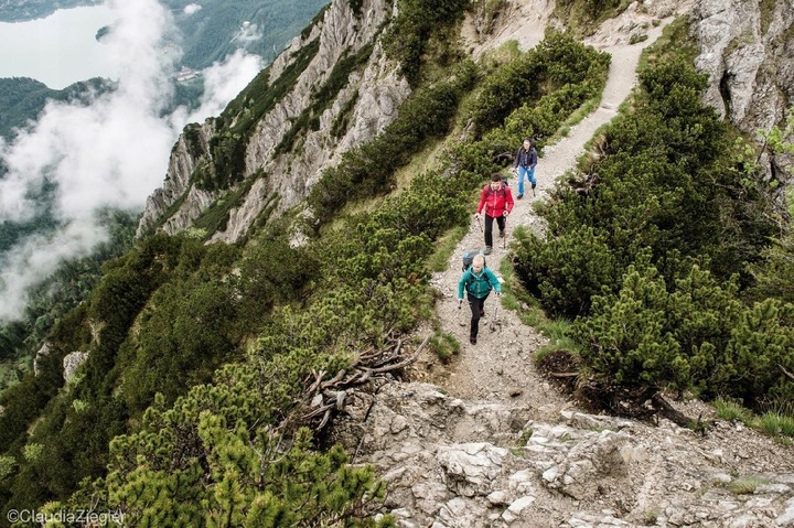 Kije kijki trekkingowe regulowane LEKI KHUMBU 110-145 277g