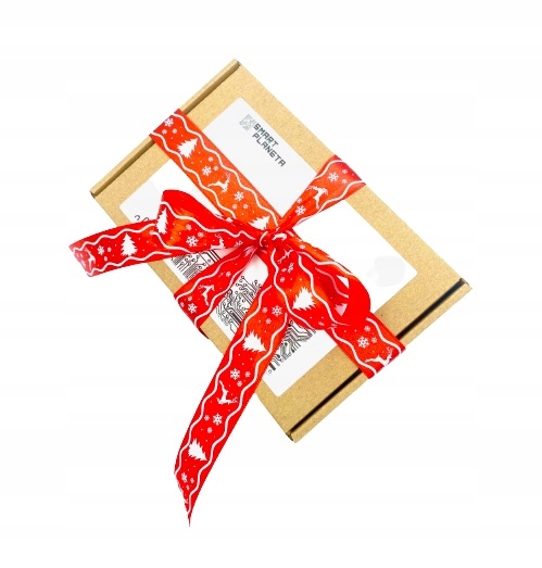 Zestaw edukacyjny SIMPLE KIT do nauki Arduino