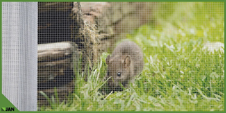 Siatka przeciw Gryzoniom 6x6x0,65 ocynk Hodowlana Na Woliery Zgrzewana 5m2