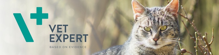 Vet Expert ARTHROVET - zestaw wspomagający prawidłowe funkcjonowanie stawów