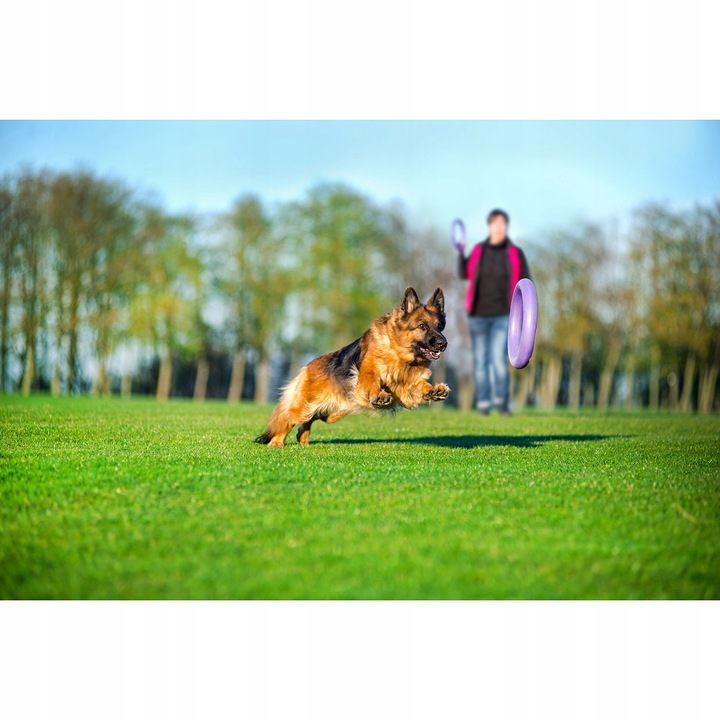 Szarpak dla psa PULLER Standard 28 cm - Zabawka 2 ringi dla dużych ras psów