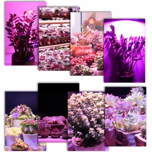 ŻARÓWKA LED GROW LIGHT DO UPRAWY ROŚLIN 80W E27