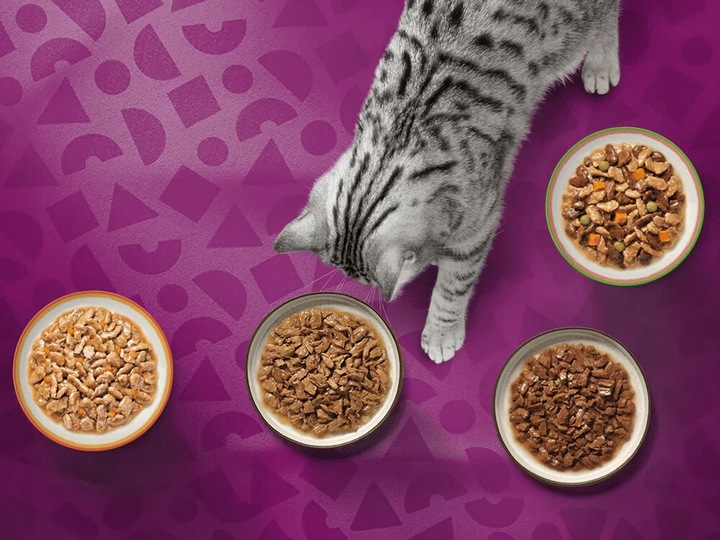 Karma dla kota WHISKAS Mix smaków (80 x 85 g)