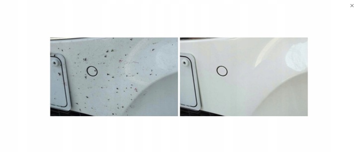 BEZPIECZNY PŁYN DO USUWANIA OWADÓW ADBL BEETLE JUICE SQUEEZER 1L