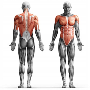 MARBO Stacjonarne poręcze do ćwiczeń pompek dipów