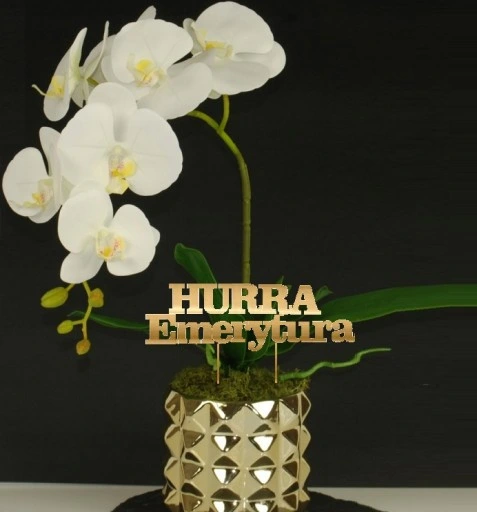 ZESTAW dekoracji z okazji przejścia na EMERYTURĘ