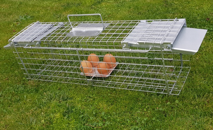 żywołapka pułapka na szczury gryzonie szczurołapka