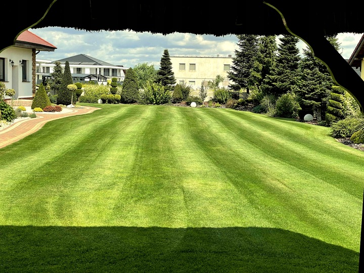 Nawóz do trawy do trawników na lato MAGGROW 20 kg