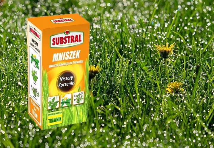 Mniszek niszczy chwasty RAZEM Z KORZENIAMI W TRAWIE TRAWNIKU SUBSTRAL 500ml