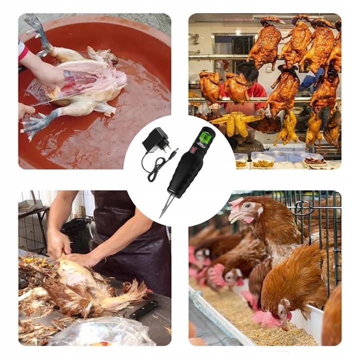 Ręczna elektryczna skubarka do drobiu dla kurczaków, kaczek