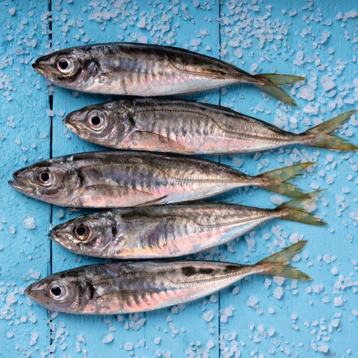 Alpha Spirit 7 DAYS FORMULA pełnoporcjowa SUCHA karma dla psa 12kg