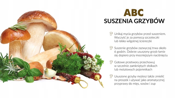 SUSZARKA SPOŻYWCZA DO GRZYBÓW MPM MSG-01 BPA FREE