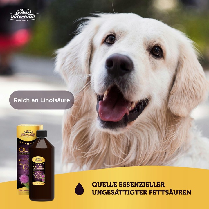 VITAR Veterinae Olej z Ostropestu 1000 ml - bogate źródło E witaminy+Omega