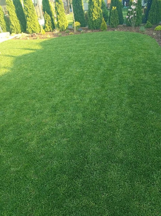 Nawóz do trawy do trawników na lato MAGGROW 20 kg