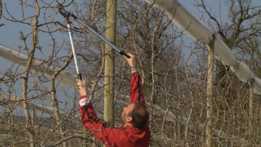 sekator do gałęzi 800mm Bahco P280-SL-80