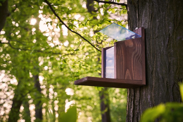 Orzechowa spiżarka, karmnik dla wiewiórek