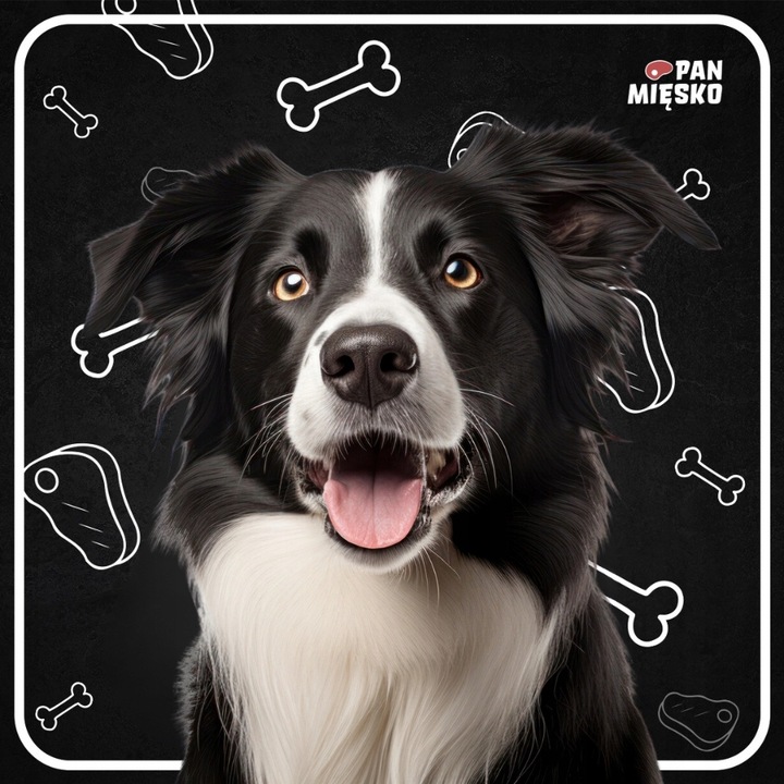 Pan Mięsko Karma sucha dla psa CIELĘCINA INDYK WARZYWA Średnie rasy M 9kg