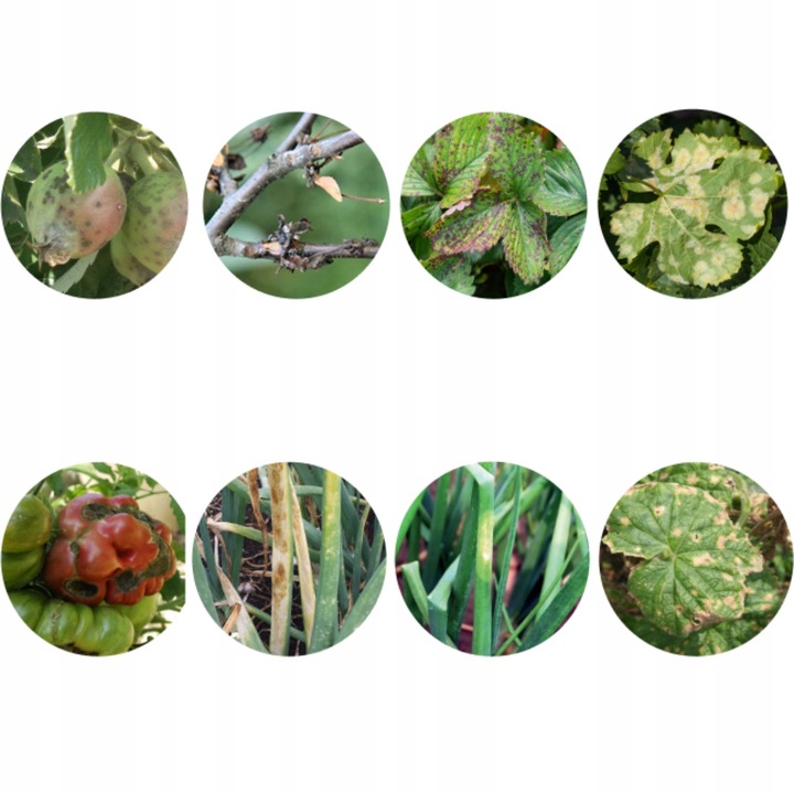 Nordox 75WG MIEDZ 1kg ŚRODEK GRZYBOBÓJCZY choroby grzybowe PARCH MĄCZNIAK