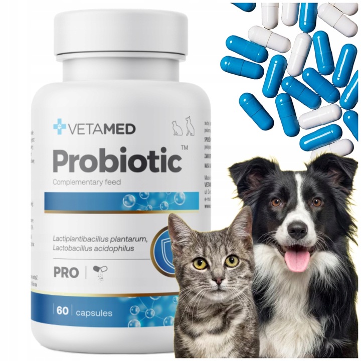 PROBIOTYK dla PSA I KOTA Prebiotyk VETAMED Probiotic 60 kapsułek + GRATIS