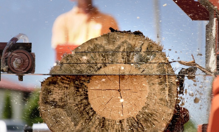 Piła taśmowa Wood-Mizer SilverTIP ROH 4000x35x1.07 do TRAKA