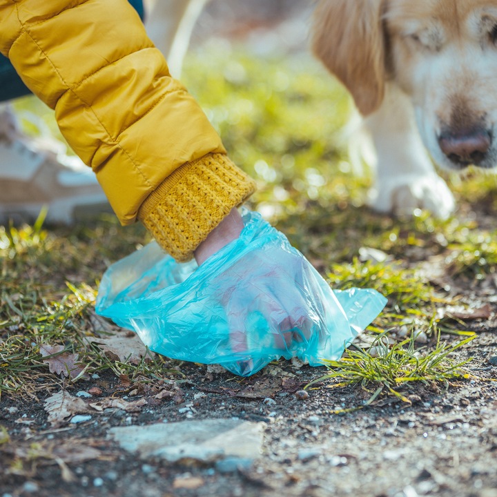 WORKI WORECZKI NA PSIE ODCHODY KUPY KUPA PSA TOREBKI MOCNE ZESTAW 1500 SZT