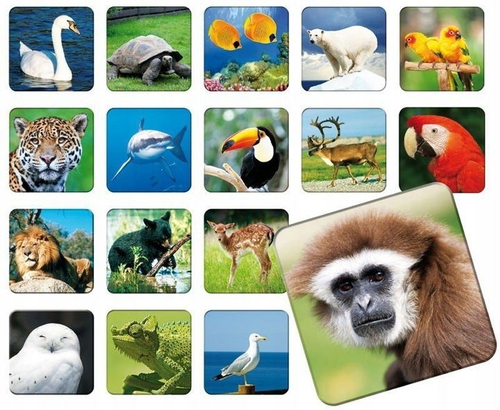 GRA MEMORY MEMO ZOO zwierzęta gra pamięciowa dla dzieci +5 lat