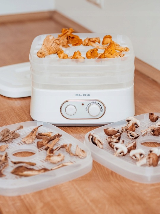 SUSZARKA DO GRZYBÓW OWOCÓW WARZYW RYB REGULACJA 5 SIT