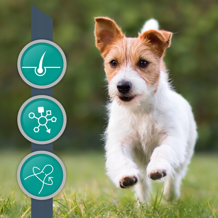 Suplement dla psów małych ras i kotów na sierść VET EXPERT VetoSkin 60 kaps