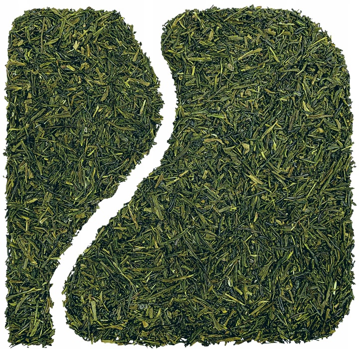 Herbata zielona JAPOŃSKA SENCHA kagoshima oryginał 100 g